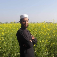 Saqib A.